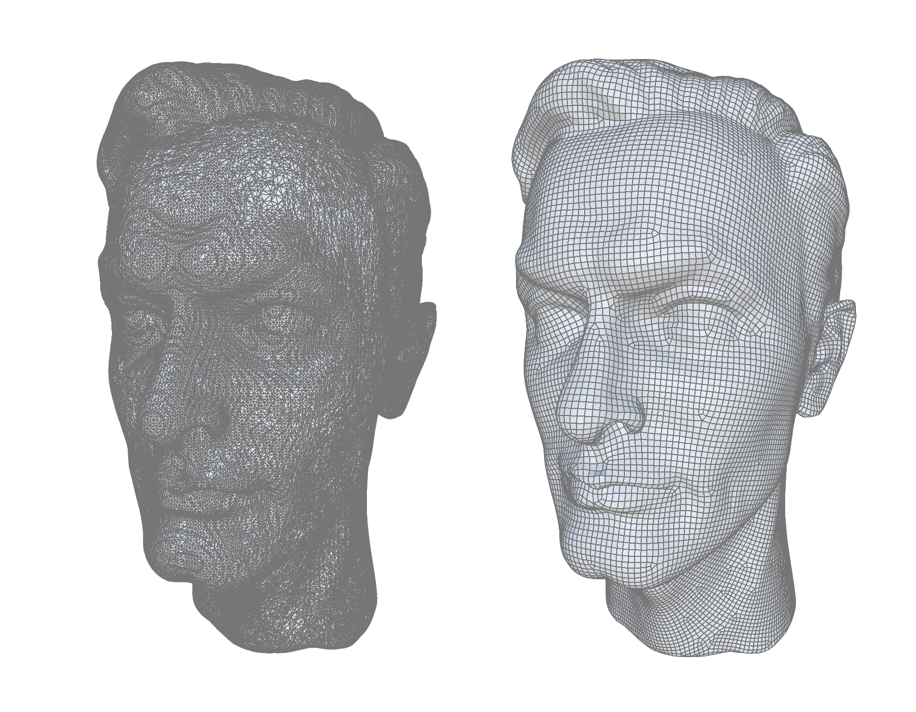 Remesh Tool